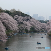 名所