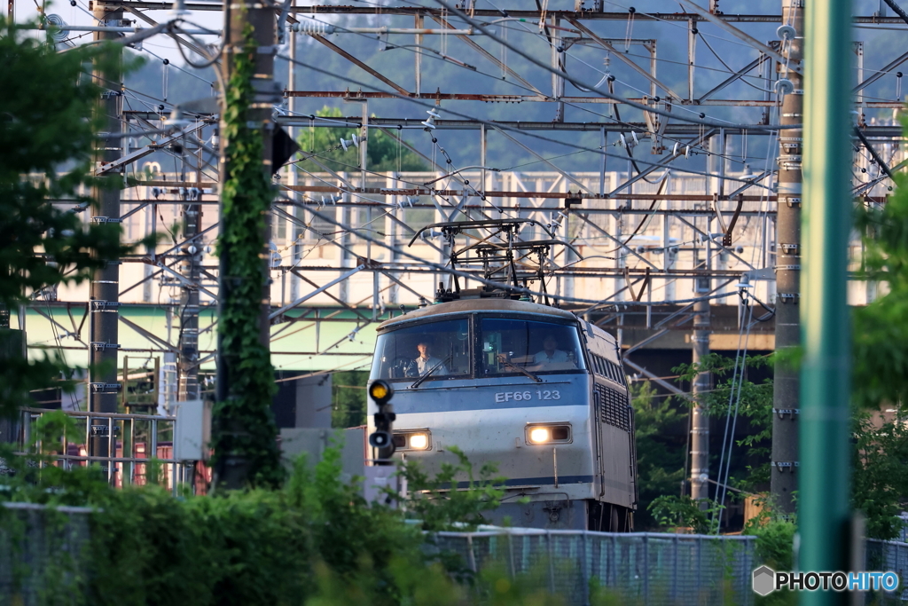 EF66-123