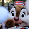 ディズニーリゾート