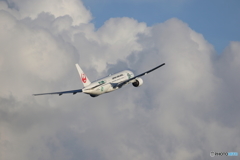 HANEDA