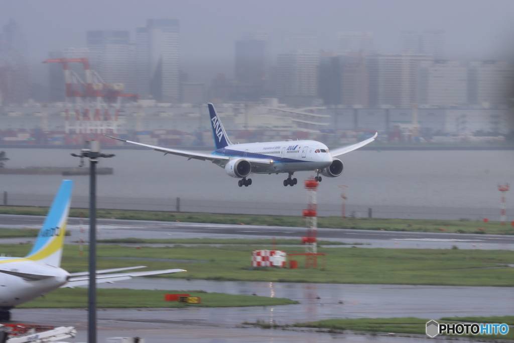HANEDA