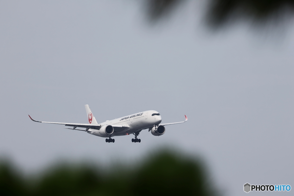 HANEDA