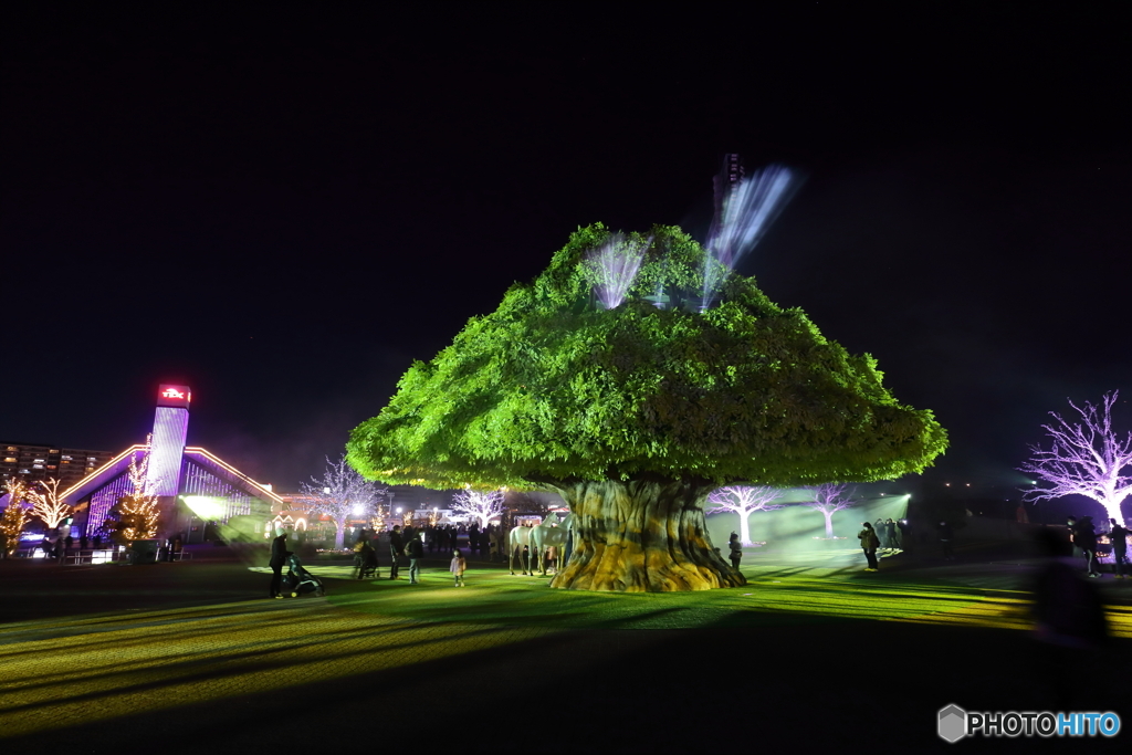 東京メガイルミ2021-2022