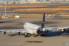 HANEDA