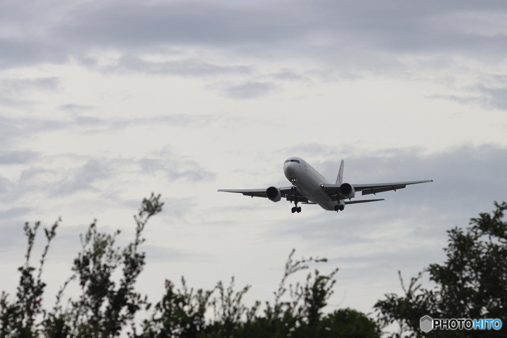 HANEDA