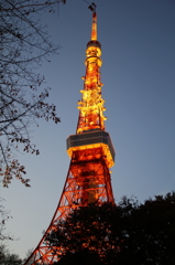 TokyoTower 