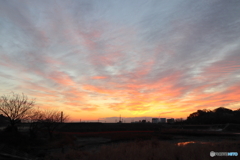 朝の多摩川