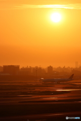 HANEDA