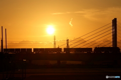朝の多摩川