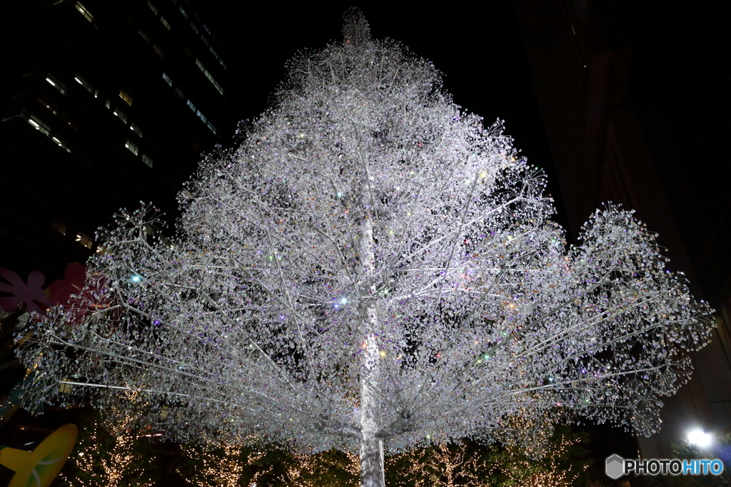 東京ガーデンテラス