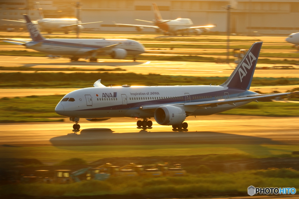 HANEDA