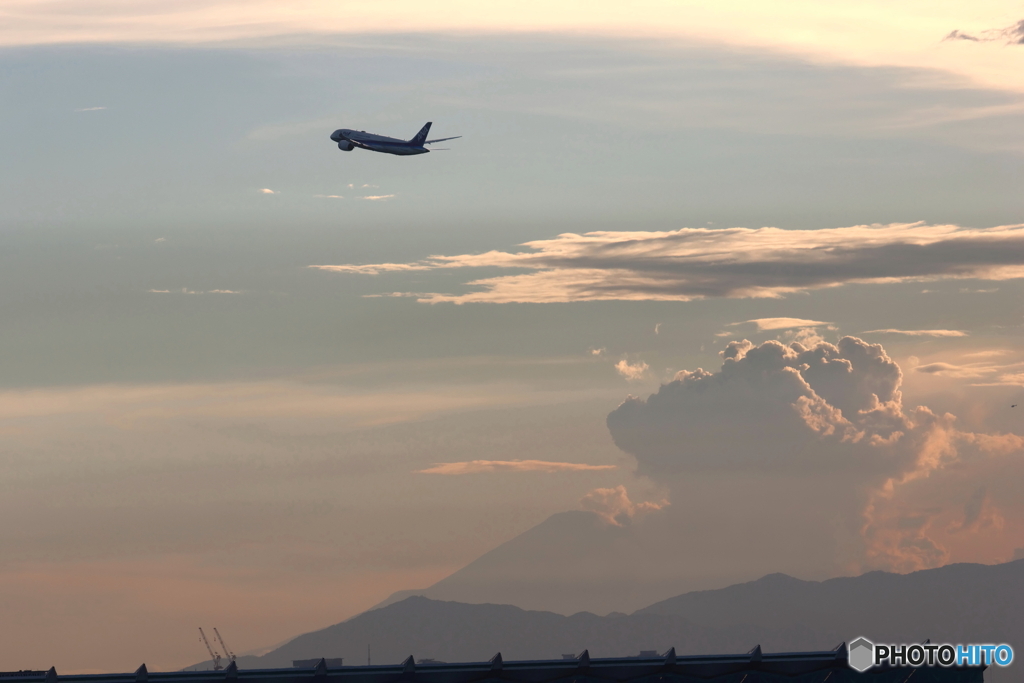 HANEDA