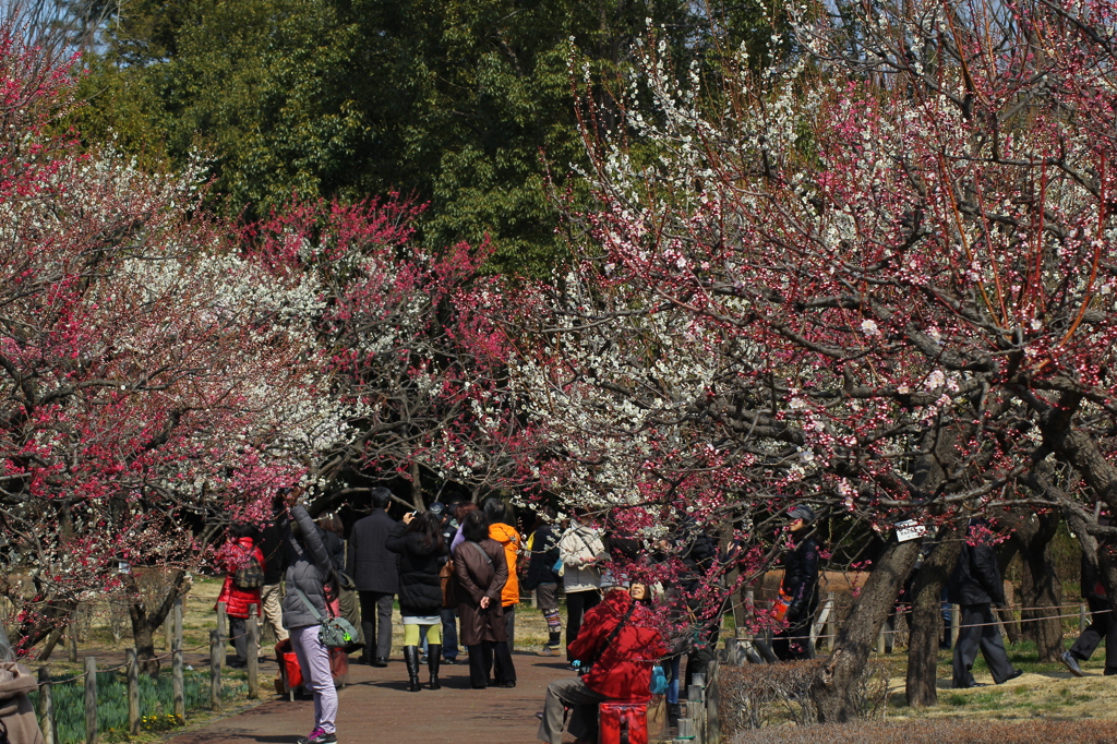 府中郷土の森公園