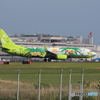 HANEDA