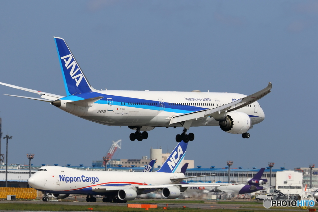 NARITA（さくらの山）