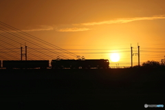 朝の多摩川