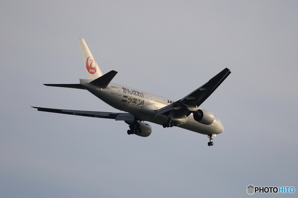 通りがかりの飛行機