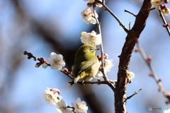 郷土の森