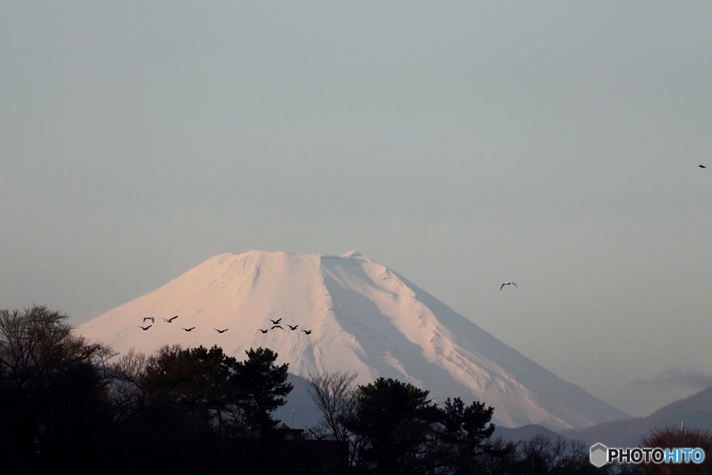 今年一年有難うございました。
