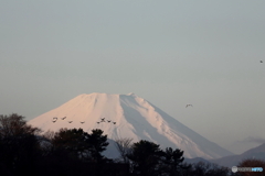 今年一年有難うございました。
