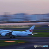 HANEDA