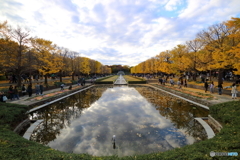 昭和記念公園