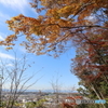 高幡不動尊