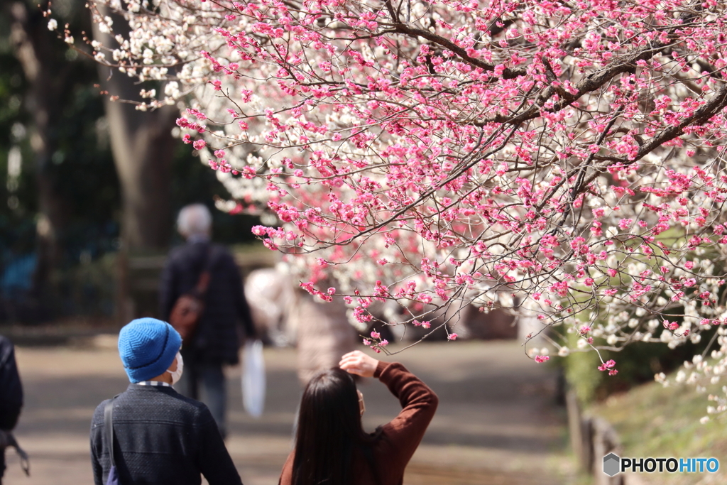 郷土の森