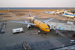 HANEDA