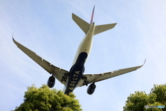 HANEDA