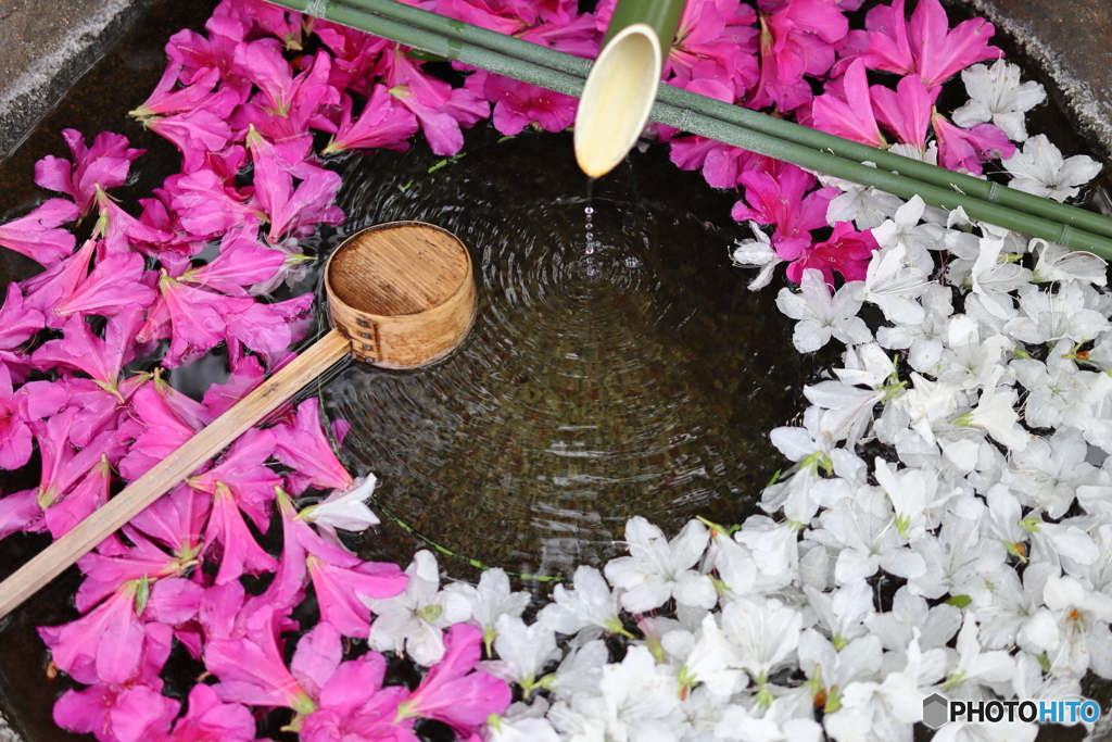 穴守稲荷神社