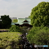 藤棚