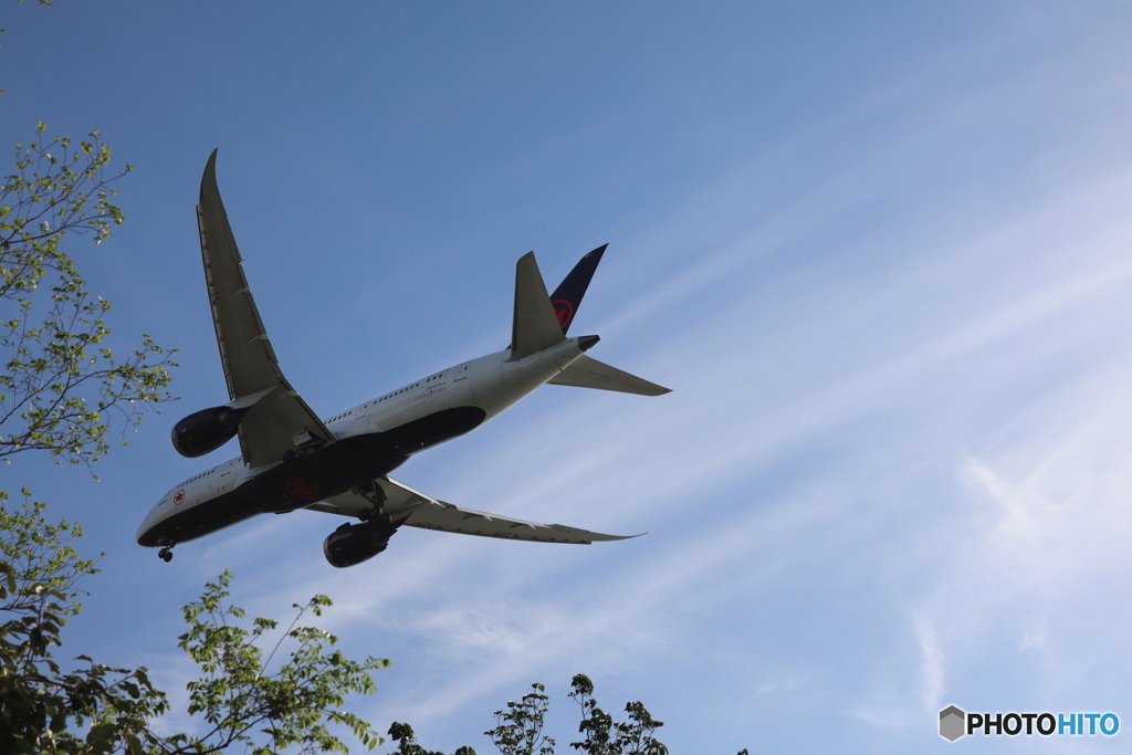 HANEDA
