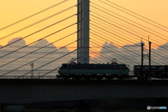 朝の多摩川
