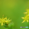 夢幻