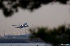 HANEDA