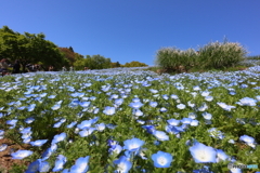 昭和記念公園