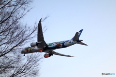 HANEDA