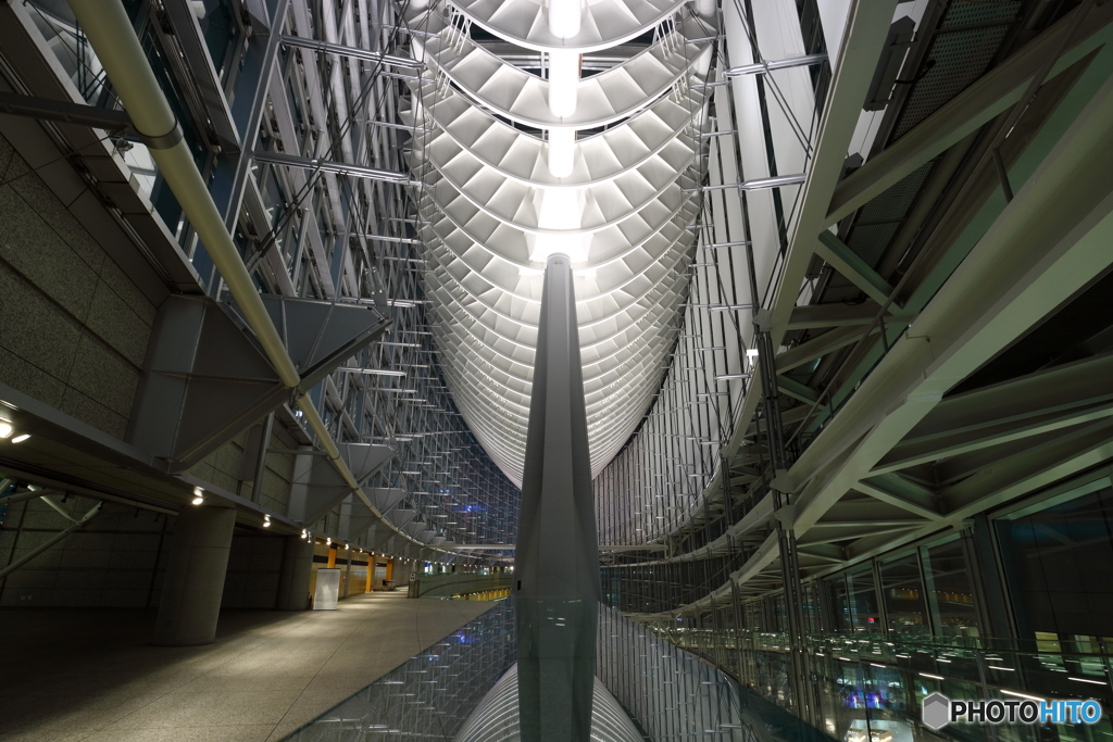 国際フォーラム