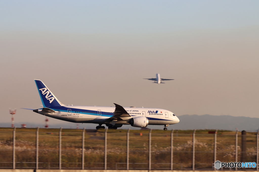 HANEDA