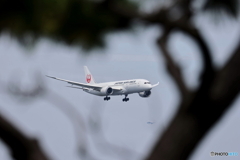 HANEDA