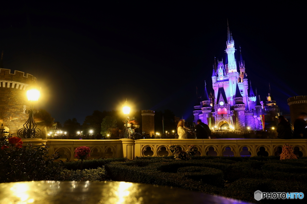 ディズニーリゾート