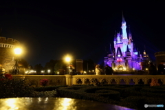 ディズニーリゾート