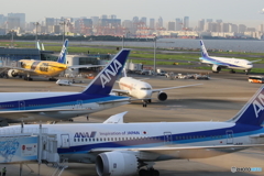 HANEDA