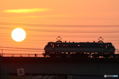 朝の多摩川