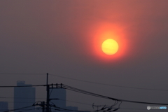 朝の多摩川