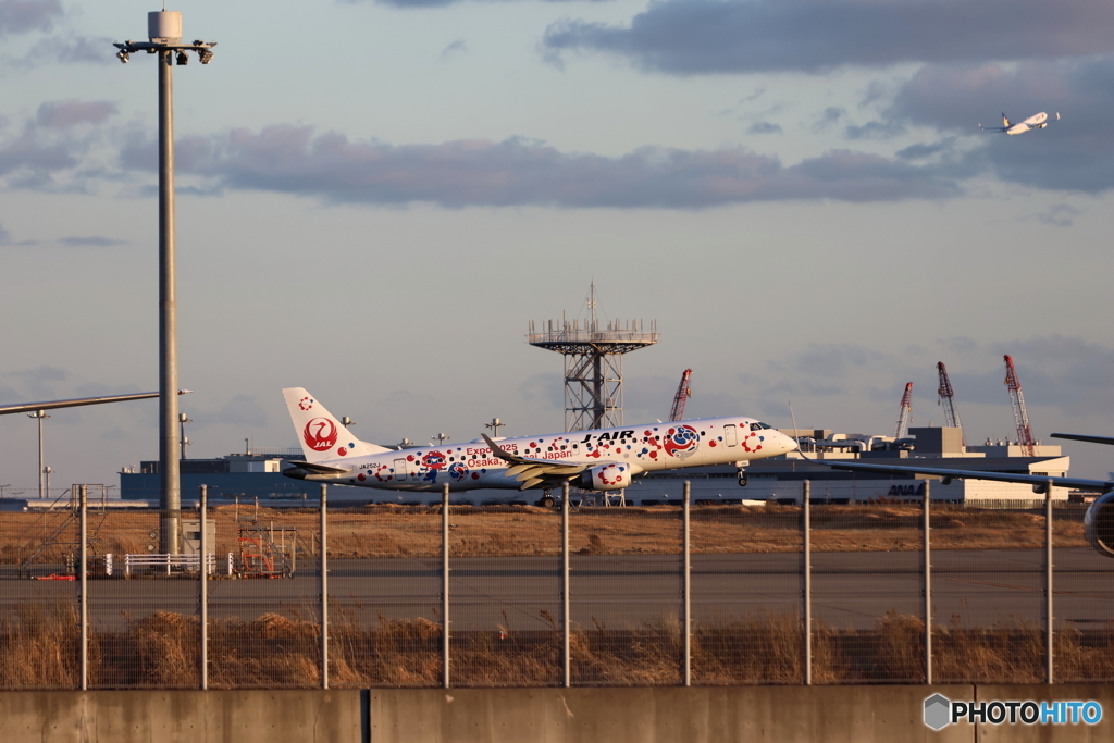 HANEDA