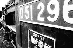 D51 296