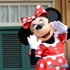 ディズニーリゾート