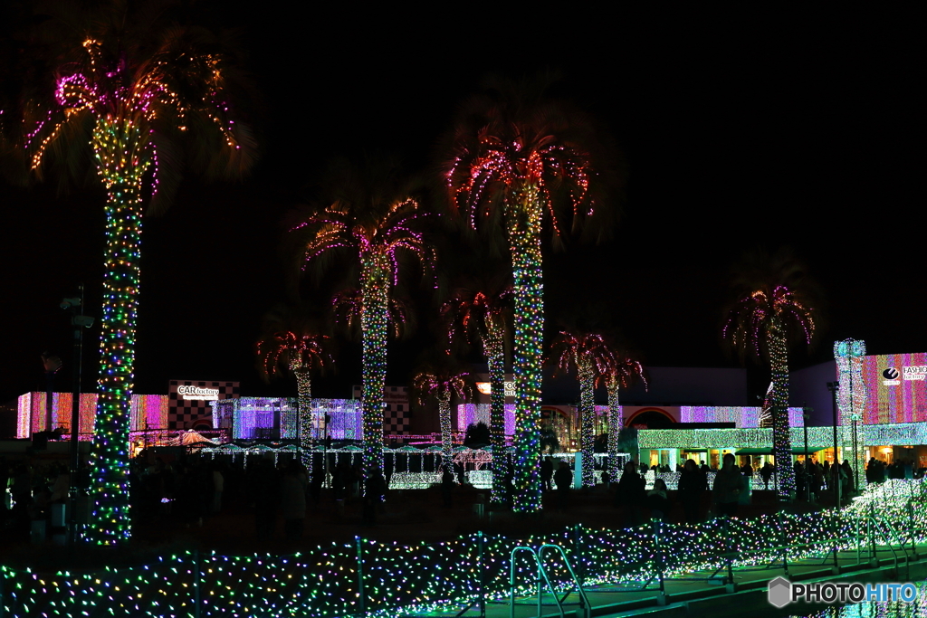 イルミネーション